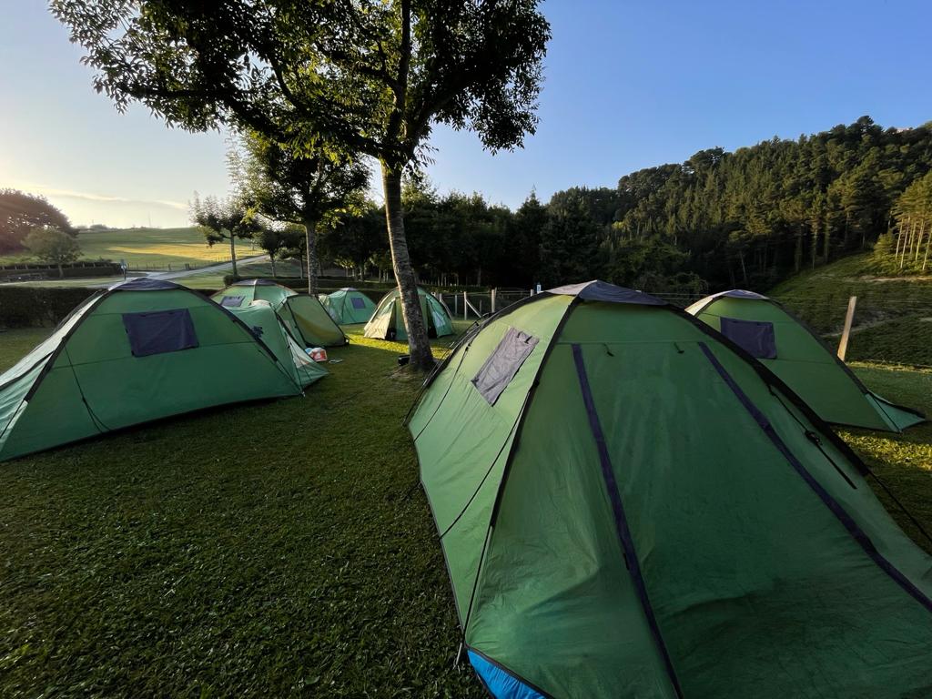 Un nou estiu de rècord al Moviment