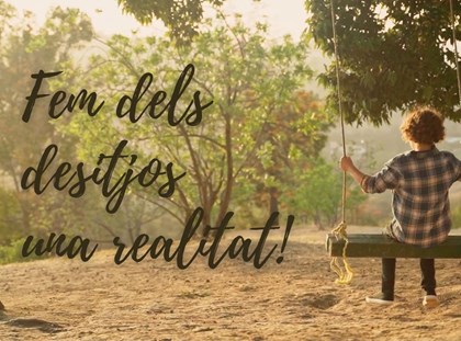 Quins són els desitjos dels monitors i monitores? Quins són els desitjos dels monitors i monitores?