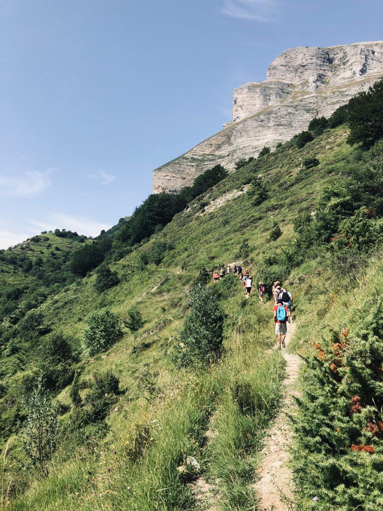 Nova dinàmica: Treballem la natura als nostres esplais