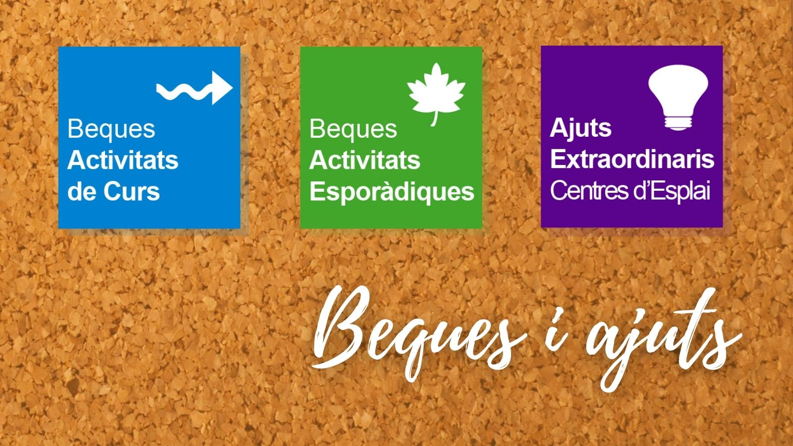 Ajuts econòmics pels Centres i Clubs d'Esplai