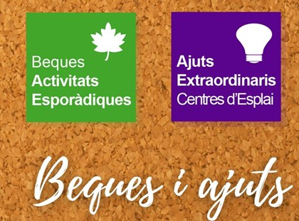 Ajuts econòmics pels Centres i Clubs d'Esplai Ajuts econòmics pels Centres i Clubs d'Esplai