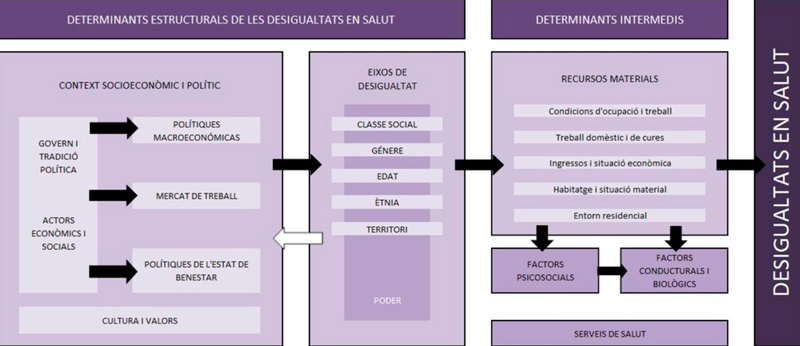 Marco conceptual de los determinantes de las desigualdades sociales en salud