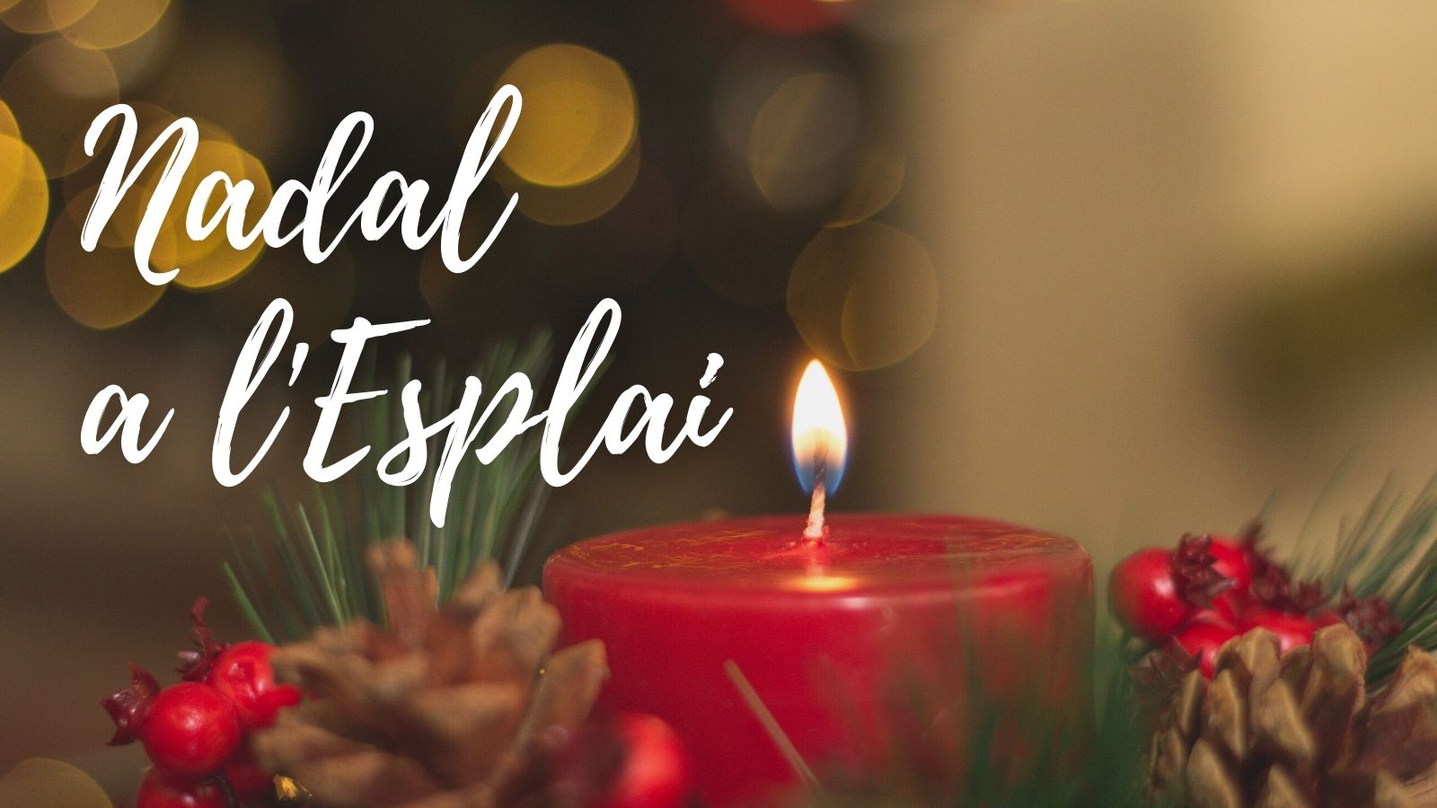 A tu, que fas avançar el Moviment, Bon Nadal!