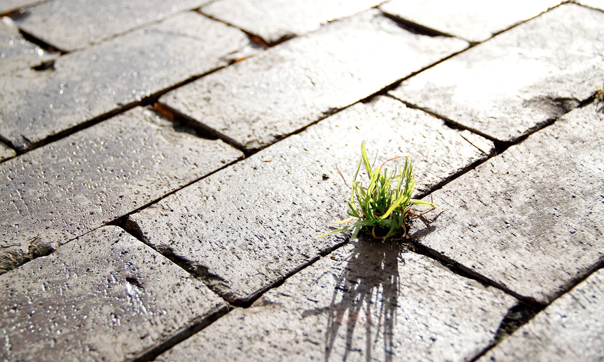 Día Internacional del Trabajo Social - Turno tarde