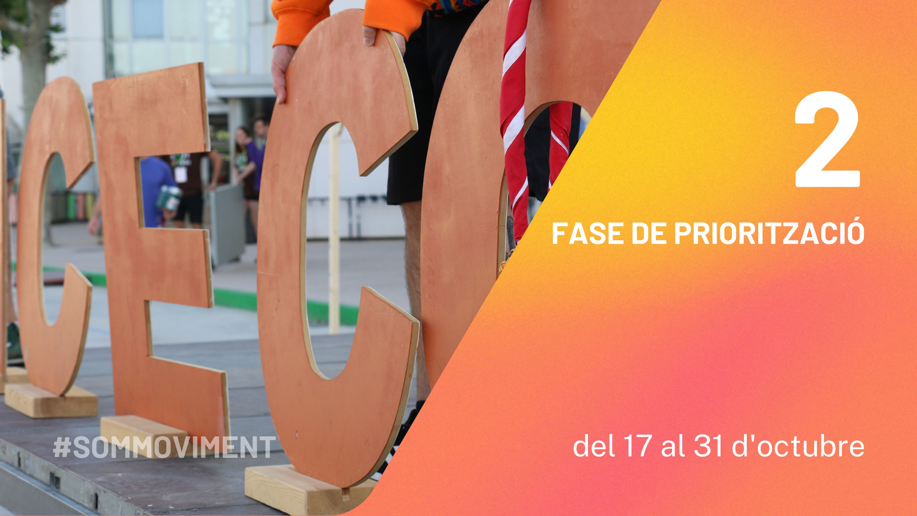 Com s'elabora el Pla d'Acccions?