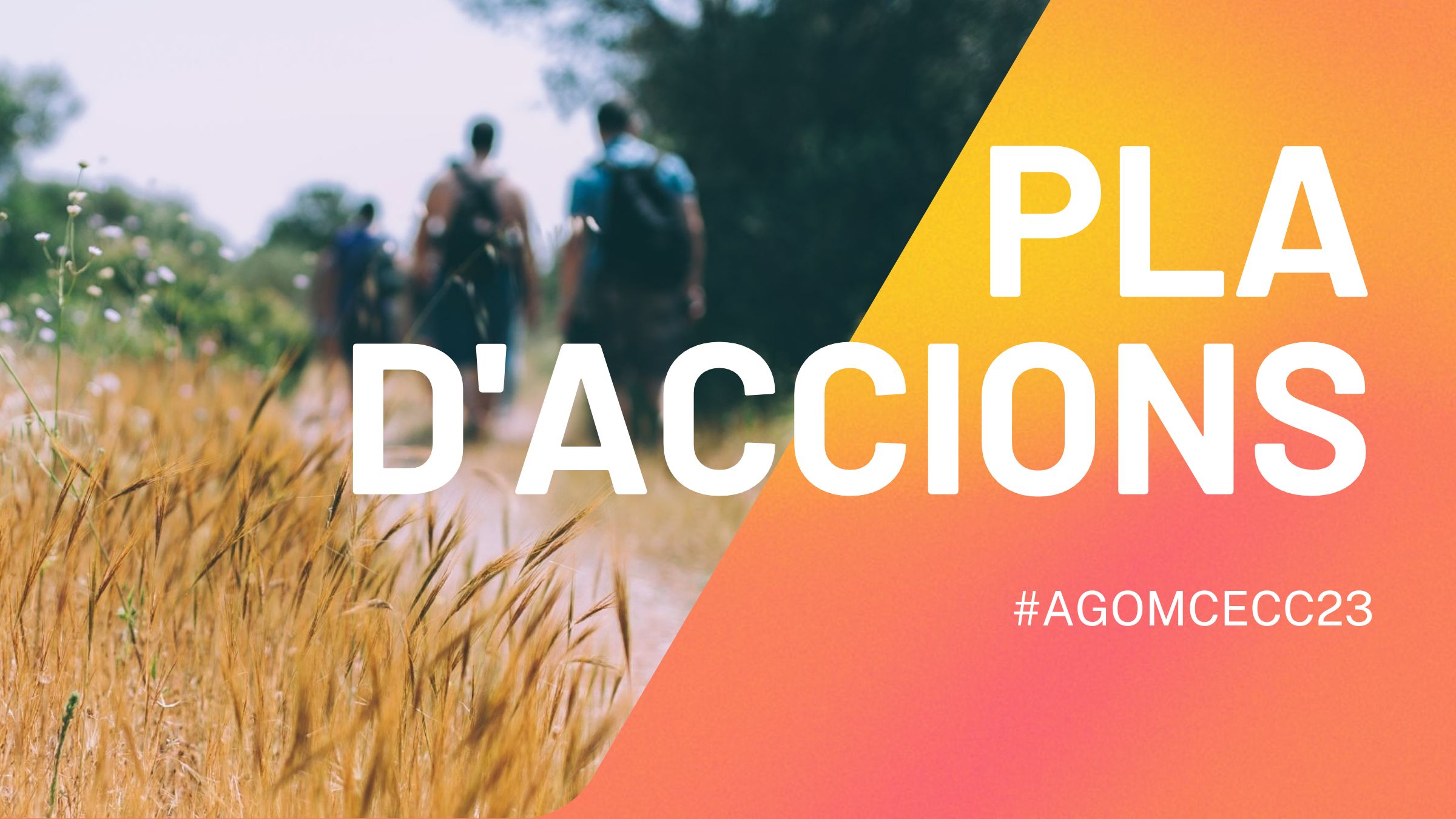 Canvi de fase del Pla d’Accions 2023