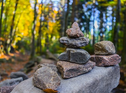 El recés 'Ramon M. Serchs', una oportunitat de pausa El recés 'Ramon M. Serchs', una oportunitat de pausa