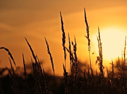 Apunta’t a l'espai 'Pren-te temps' Apunta’t a l'espai 'Pren-te temps'