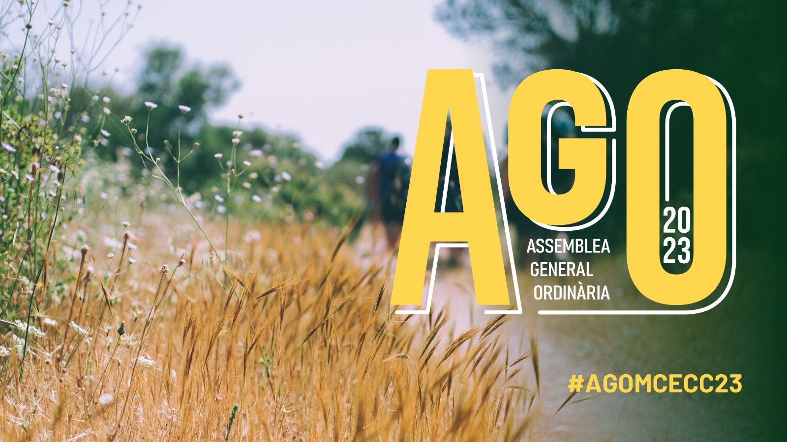 L'AGO ja és aquí: consulta les indicacions prèvies!