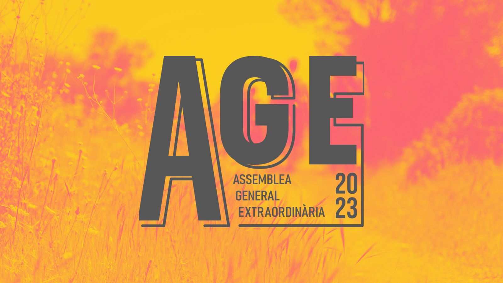 Coneix el funcionament de l'AGE d'enguany