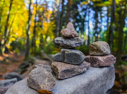 El Projecte d'Excursionisme t'espera a la primera reunió! El Projecte d'Excursionisme t'espera a la primera reunió!