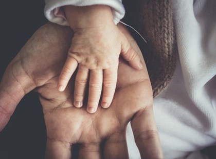 Jornada de bon tracte i espais segurs a Mallorca Jornada de bon tracte i espais segurs a Mallorca