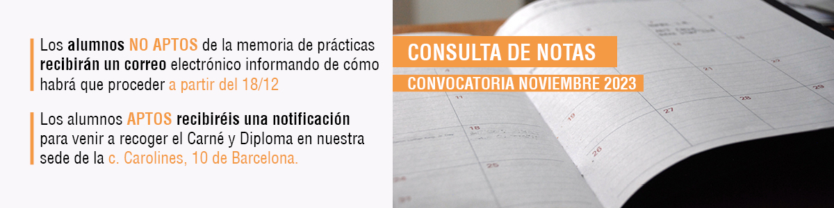 Consulta las notas