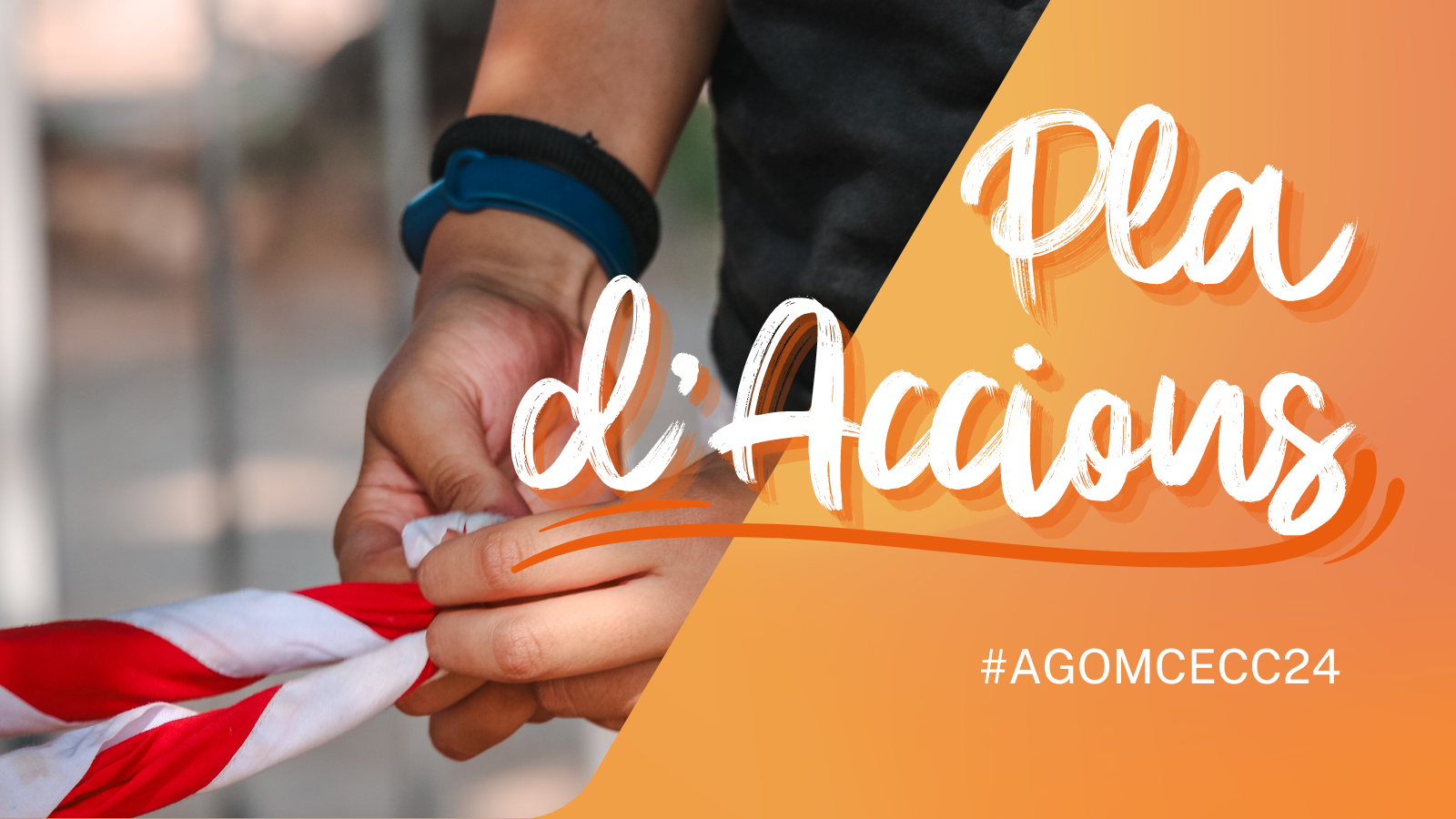 Com s'elabora el Pla d'Accions?