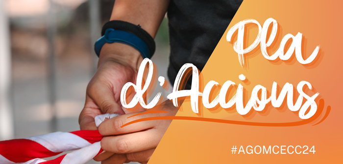 Com s'elabora el Pla d'Accions? Com s'elabora el Pla d'Accions?