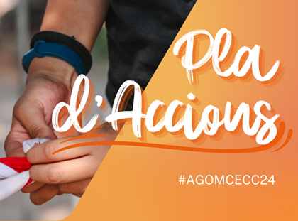 Com s'elabora el Pla d'Accions? Com s'elabora el Pla d'Accions?