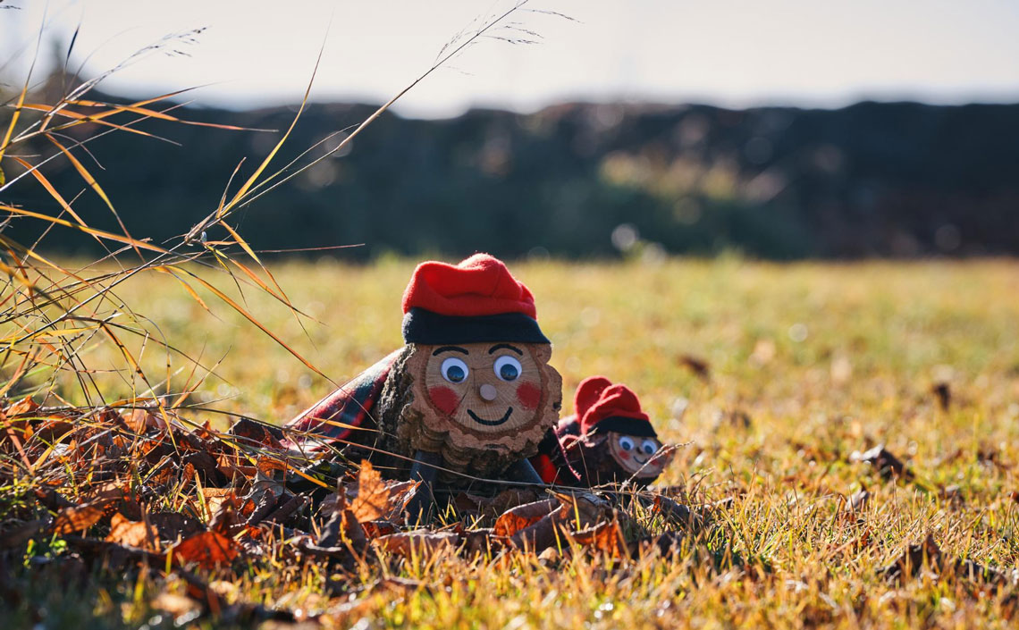 Busquem el tió en família