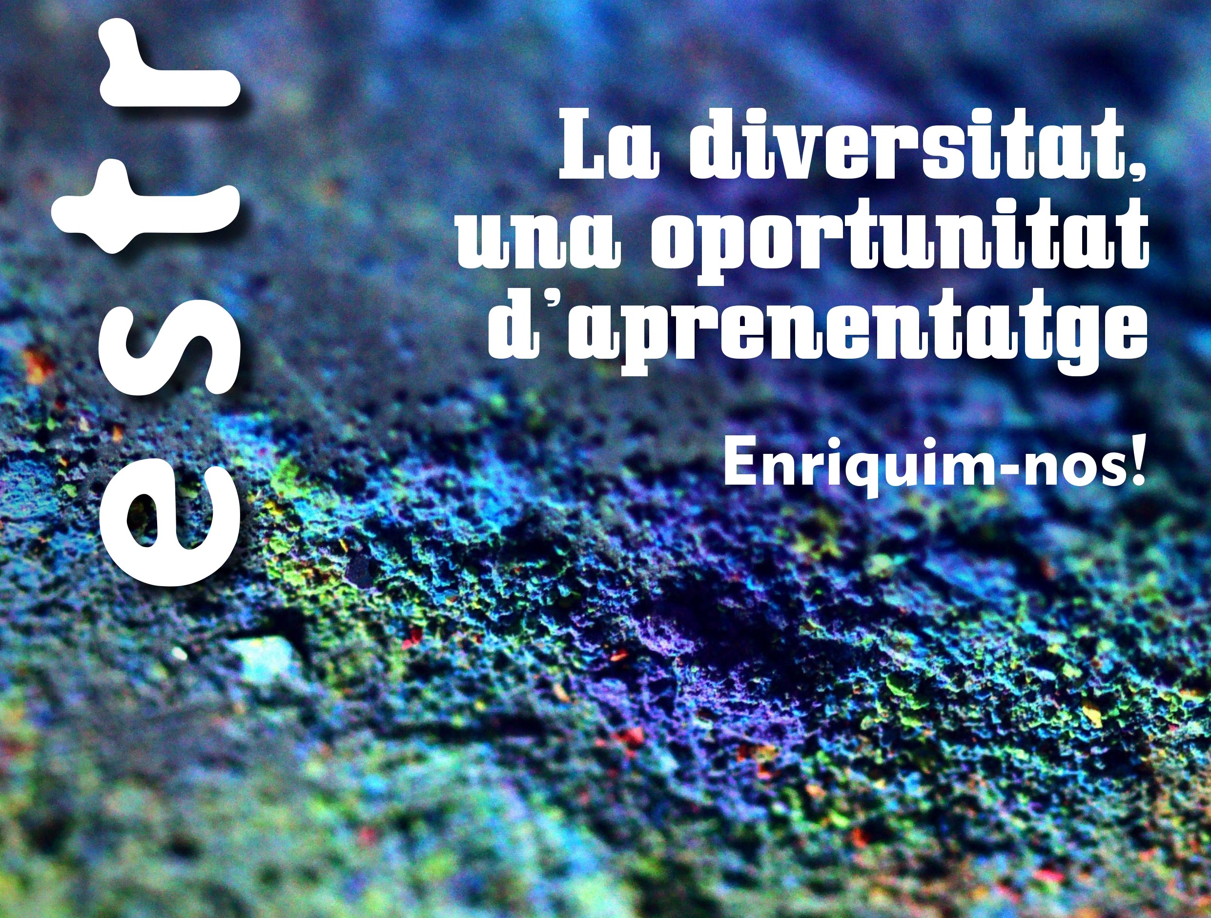 ‘Estris’ atén la diversitat en l'edició 250