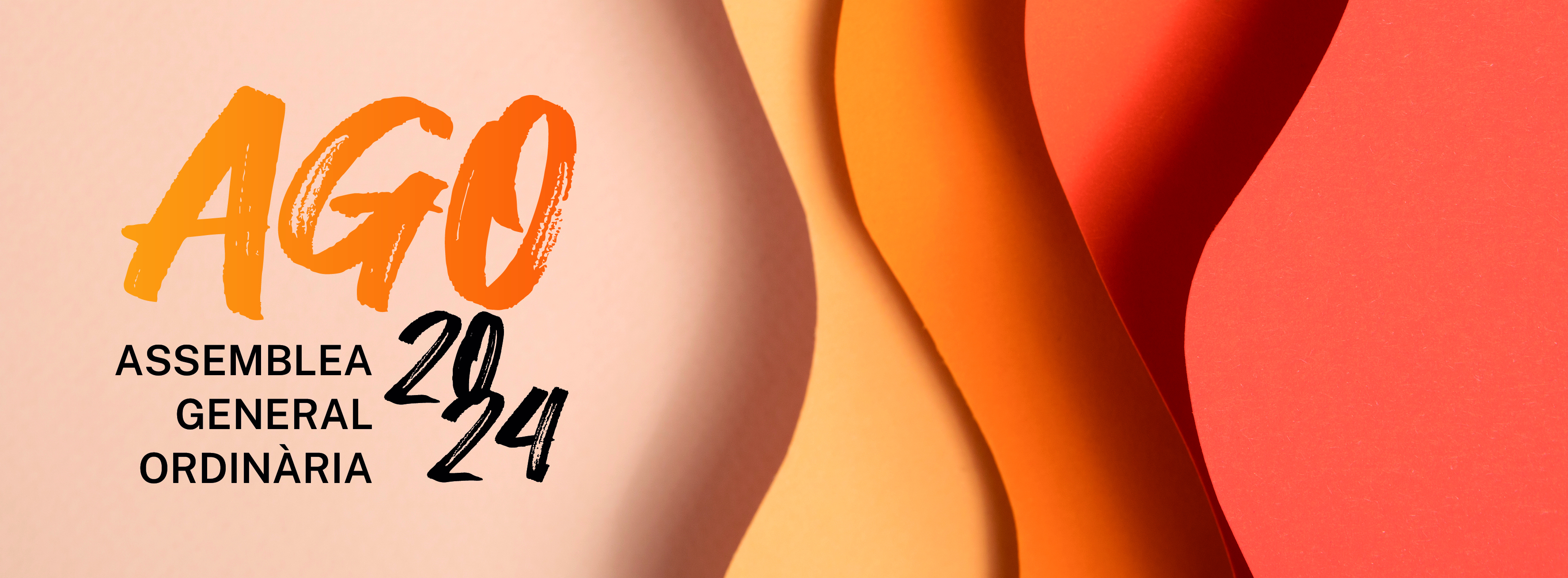 Revisa la documentació de l'Assemblea!