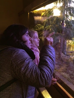 Endinsant-nos en l'esperit nadalenc