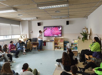 Obertes les inscripcions al Campus MCECC d'estiu Obertes les inscripcions al Campus MCECC d'estiu