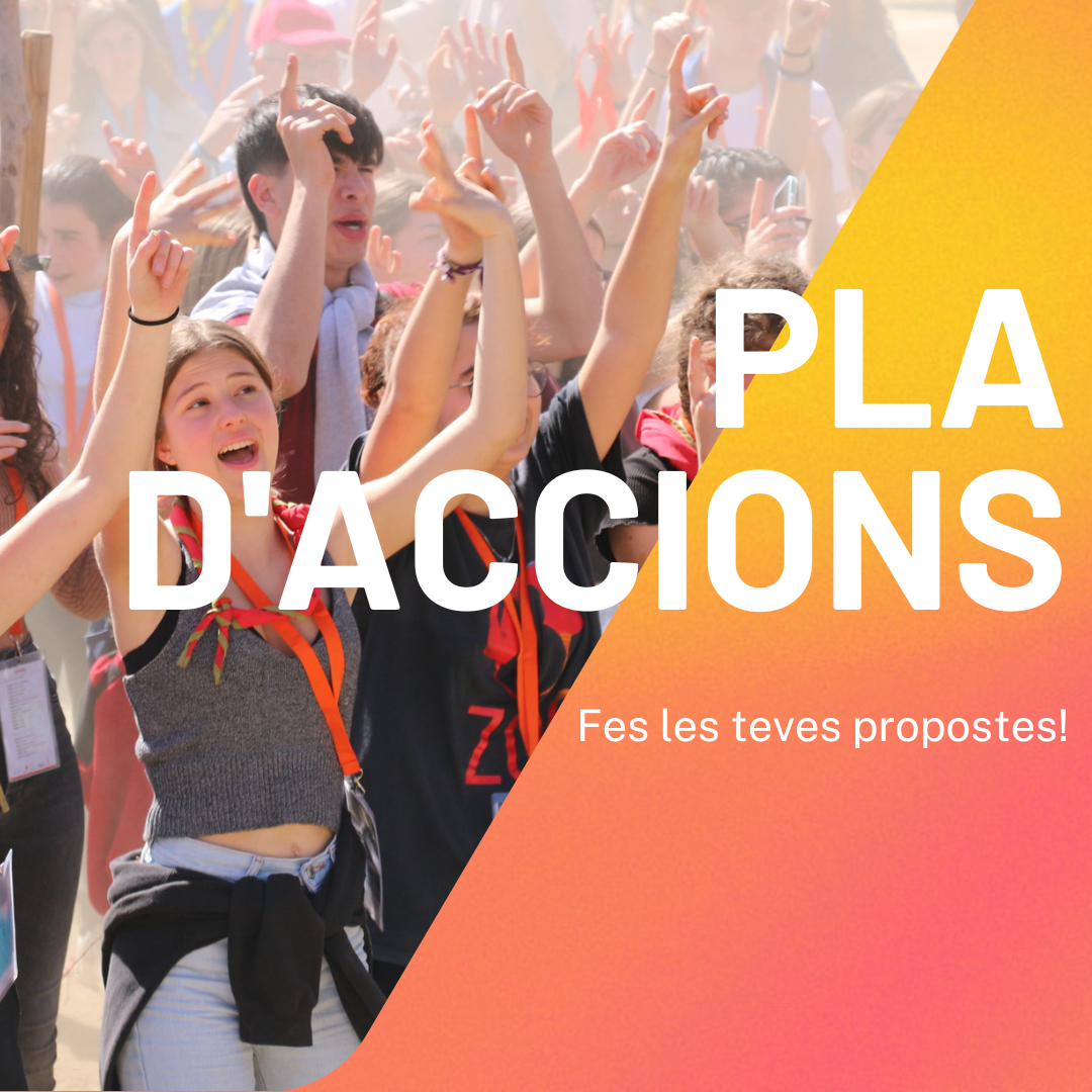 Pla d'Accions 2025