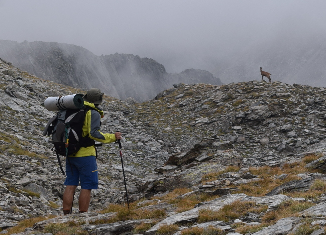 Arriba l'Estris 255, que renova el seu disseny i entrevista a Núria Picas