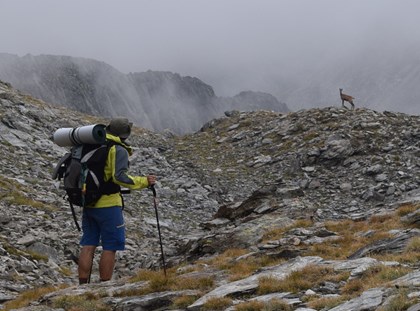 Arriba l'Estris 255, que renova el seu disseny i entrevista a Núria Picas Arriba l'Estris 255, que renova el seu disseny i entrevista a Núria Picas