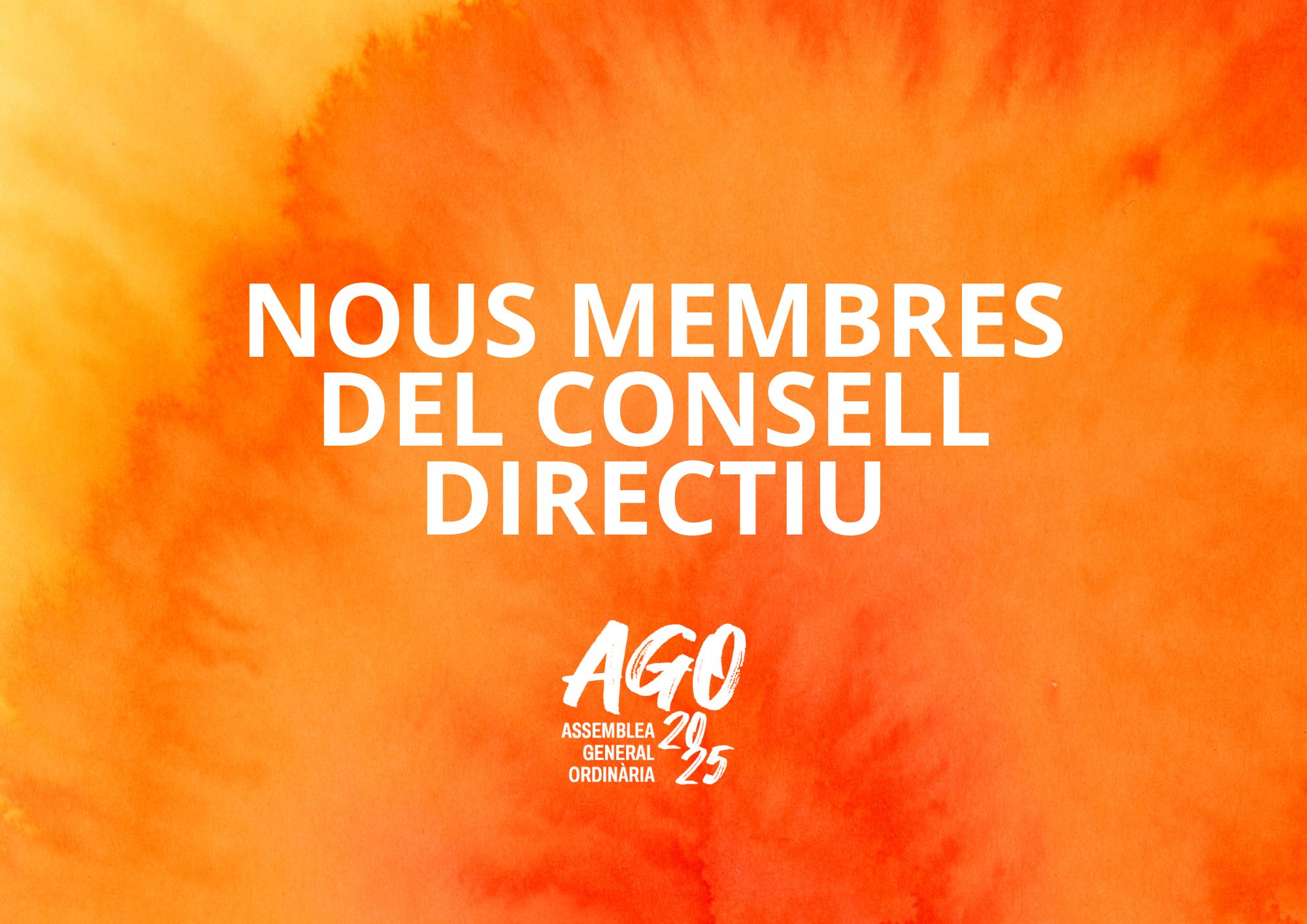 Qui presenta candidatura al Consell Directiu?