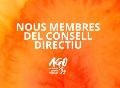 Qui presenta candidatura al Consell Directiu? Qui presenta candidatura al Consell Directiu?