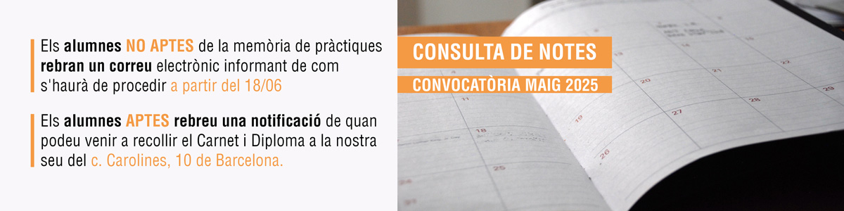 Consulta les notes