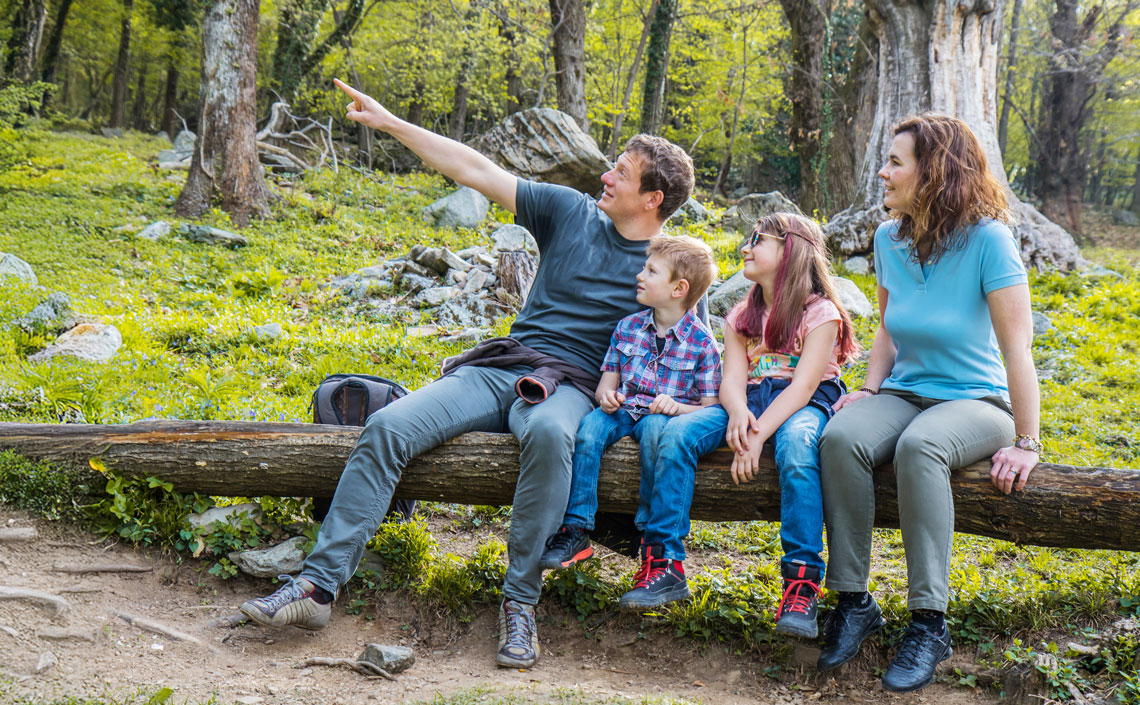 capsa2-families.jpg