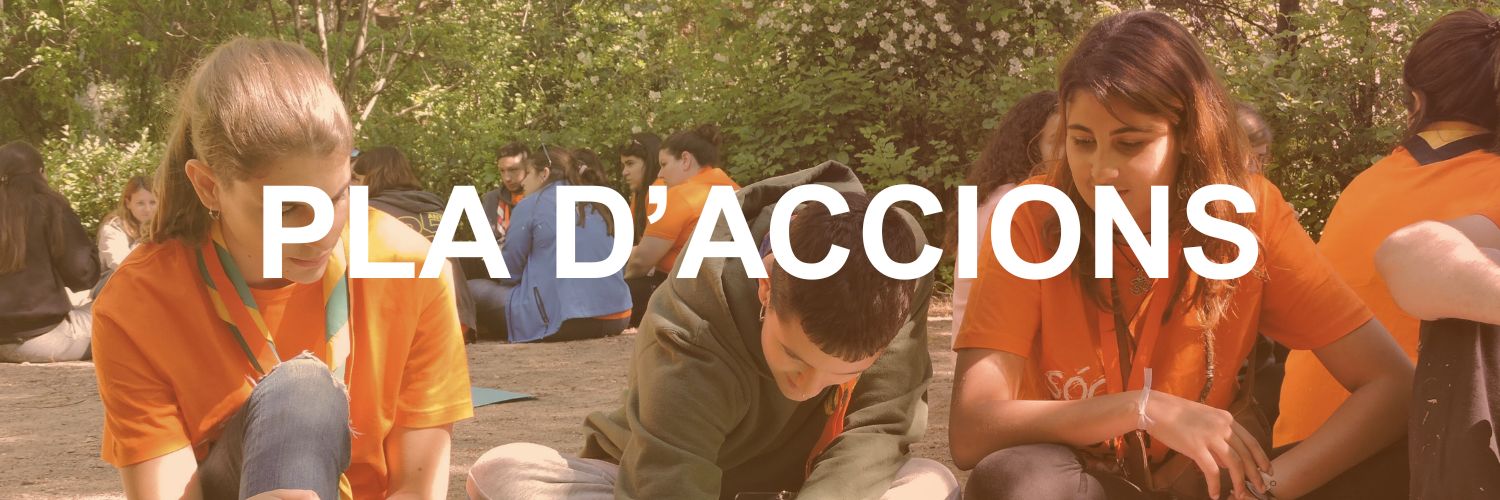PLA D'ACCIONS