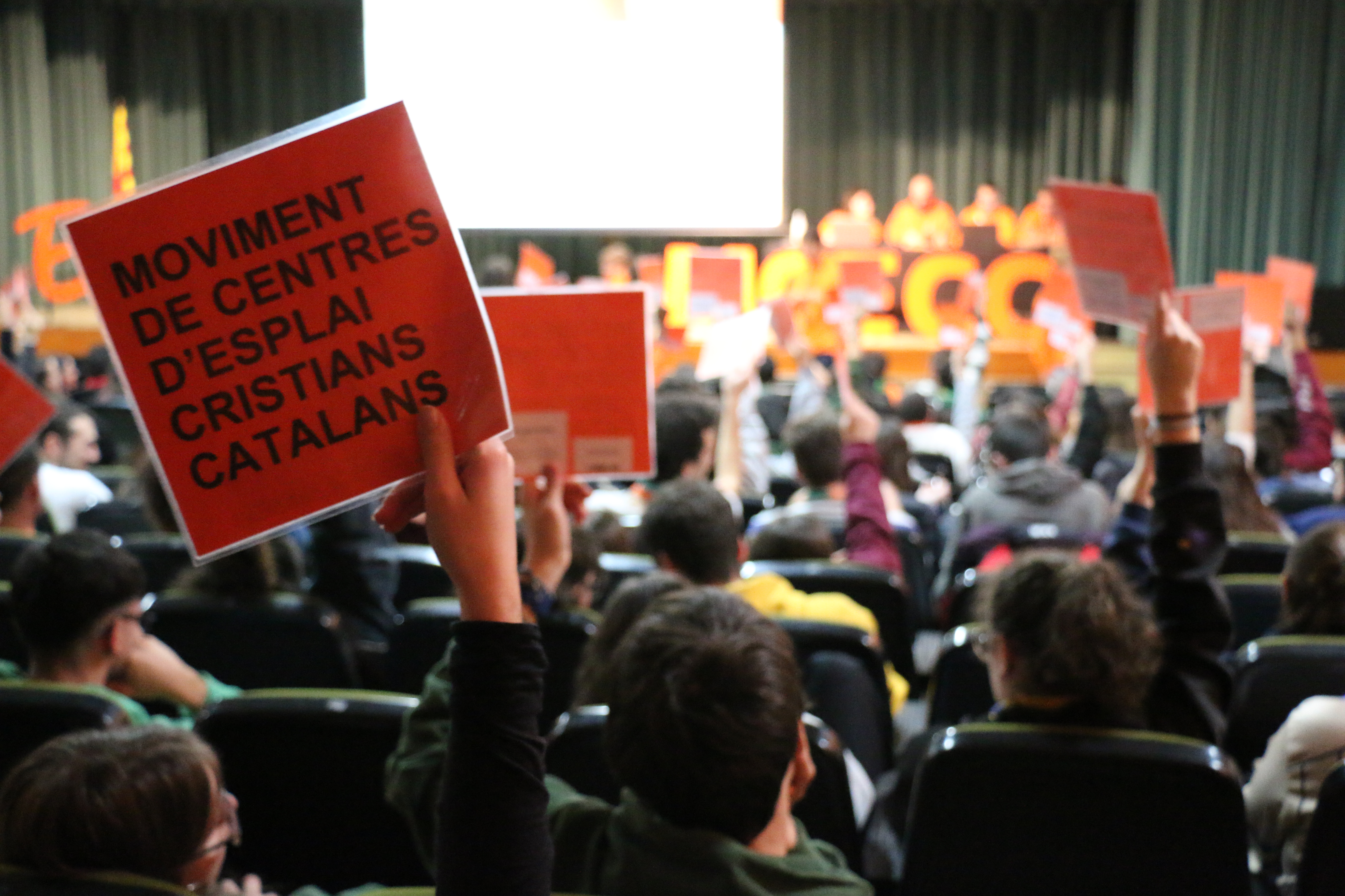 Vols formar part del Consell Directiu? 