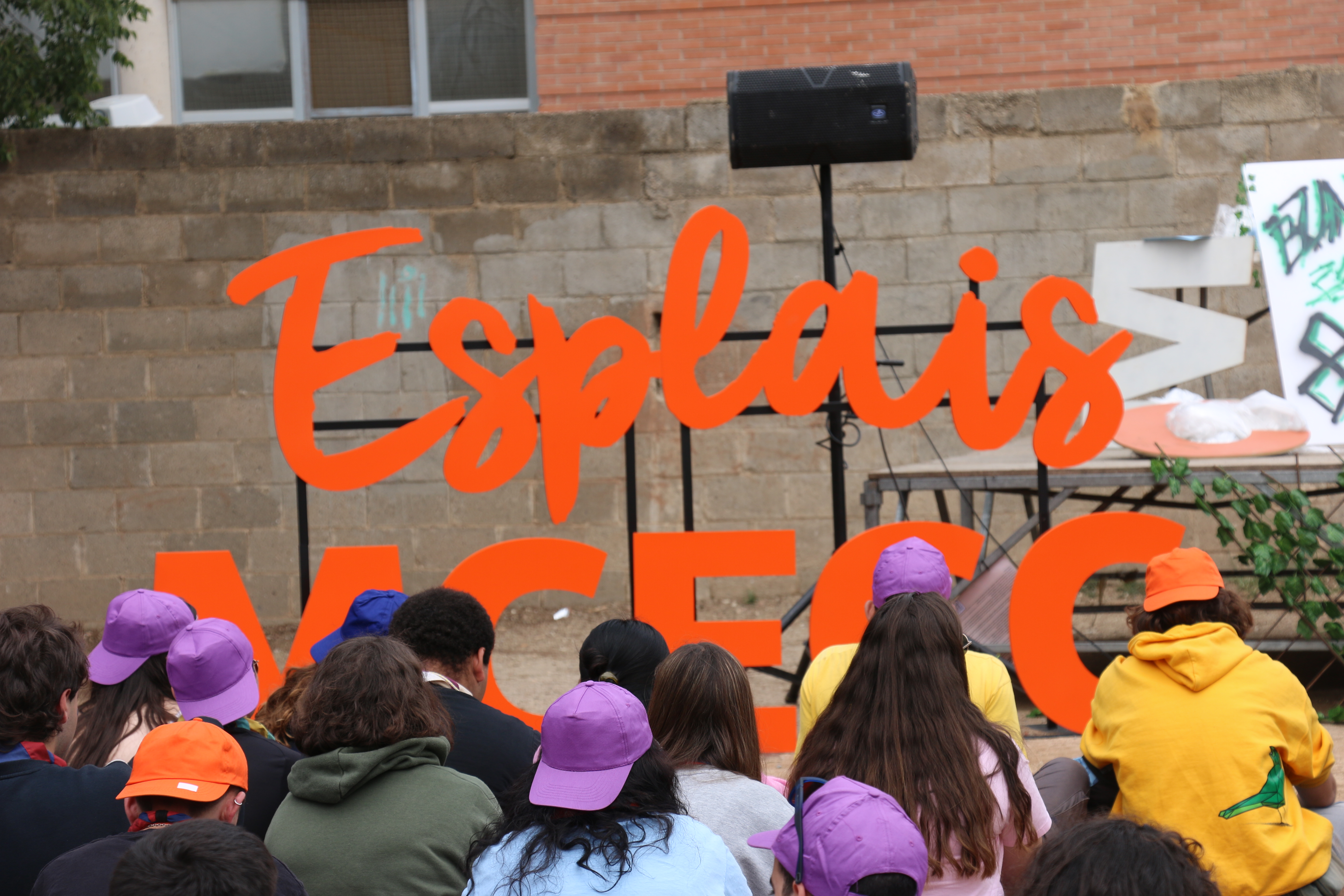 Enquesta sobre el perfil dels Centres i Clubs d’Esplai 