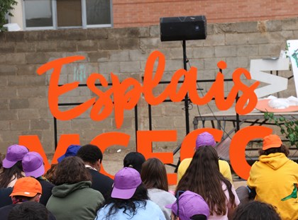 Enquesta sobre el perfil dels Centres i Clubs d’Esplai Enquesta sobre el perfil dels Centres i Clubs d’Esplai