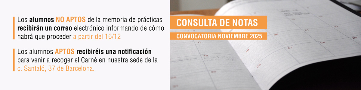 Consulta las notas