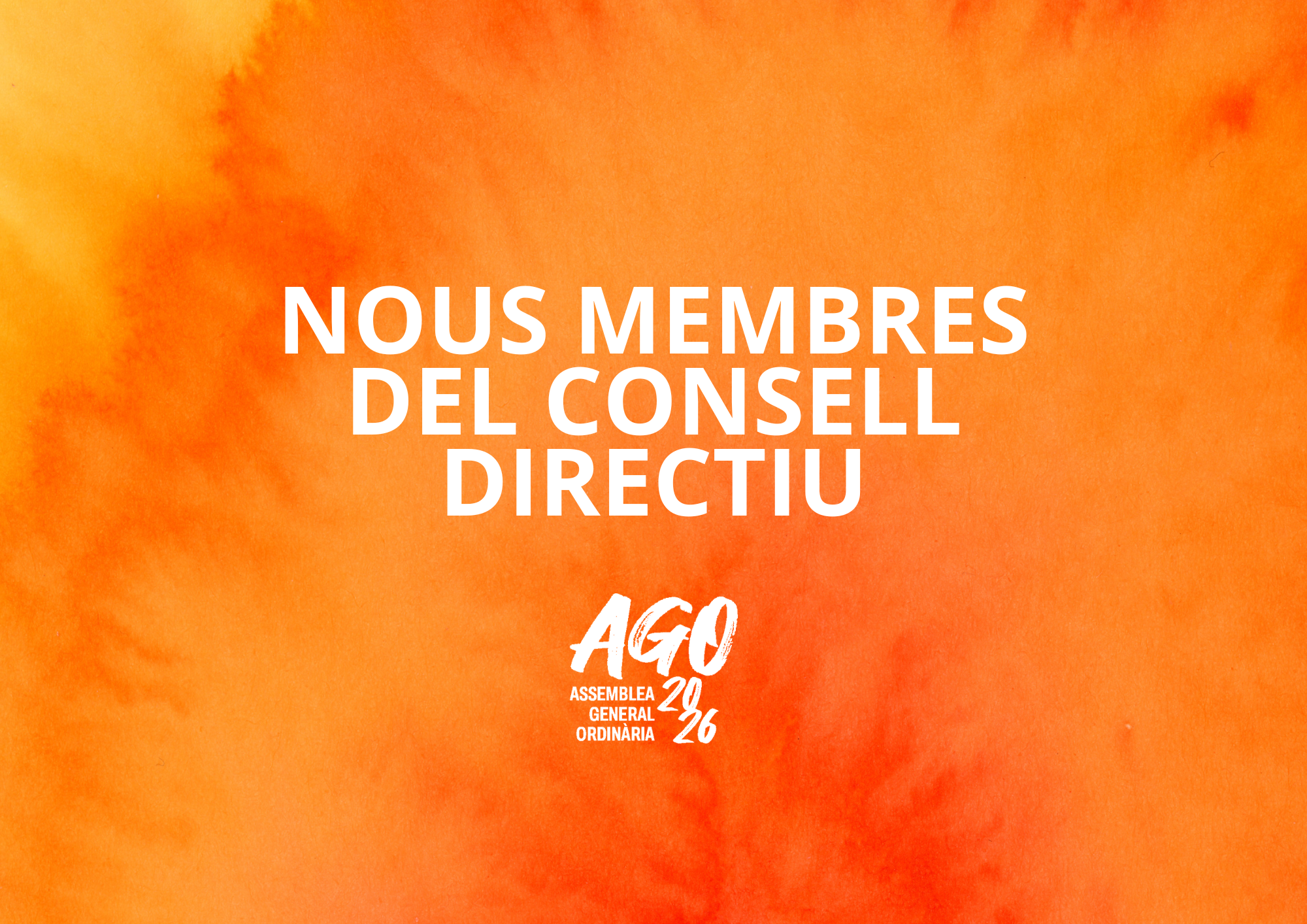 Qui presenta candidatura al Consell Directiu? 