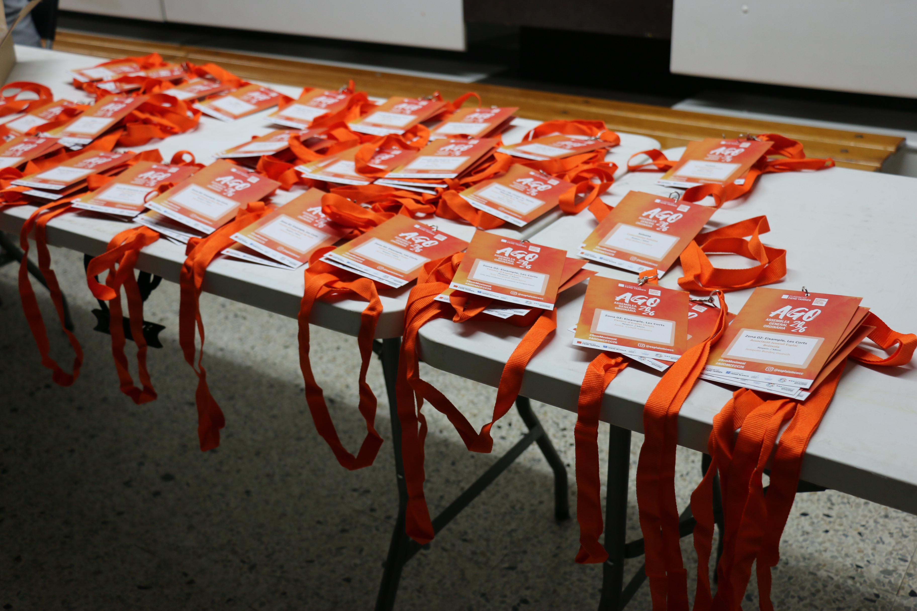 Coneix els nous membres del Consell Directiu 