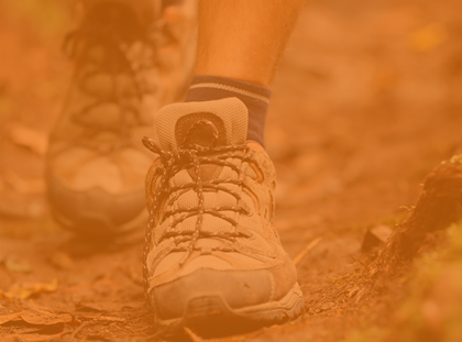 Curs d’Excursionisme: anul·lat! 