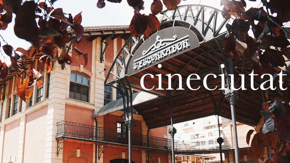 Festival de Cinema 2026 - Territori Mallorca
