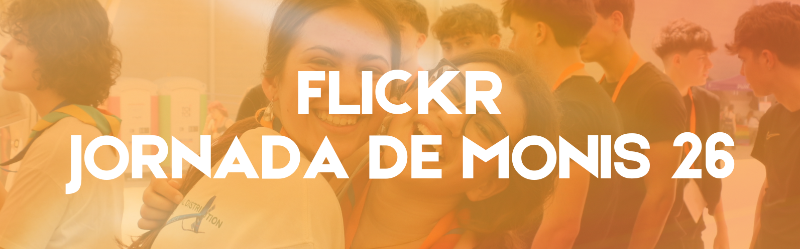 Consulta l'àlbum!
