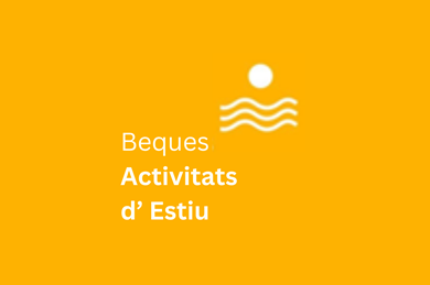 Beques d’Estiu 2026: revisió de sol·licituds Beques d’Estiu 2026: revisió de sol·licituds