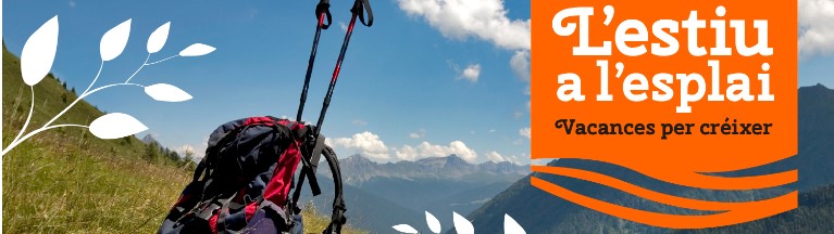 Matinal formativa d'estiu 2018