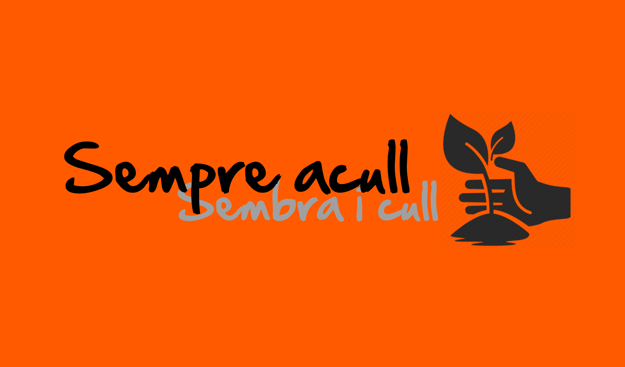 Torna el programa Sempre Acull del MCECC