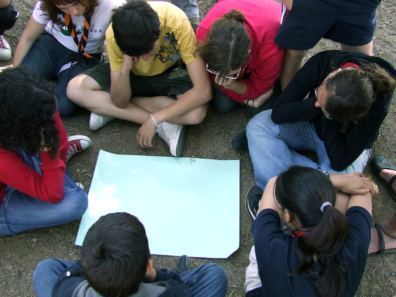 Ens ajudes amb l'enquesta de gènere?