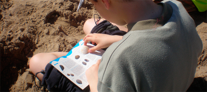 Dia mundial de l’educació ambiental, molts deures per fer