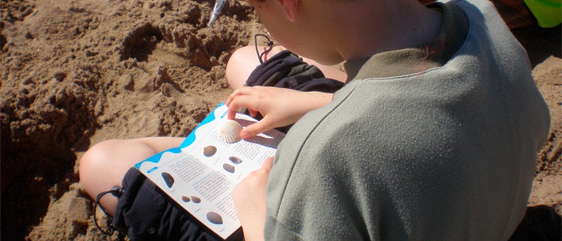 Dia mundial de l’educació ambiental, molts deures per fer Dia mundial de l’educació ambiental, molts deures per fer