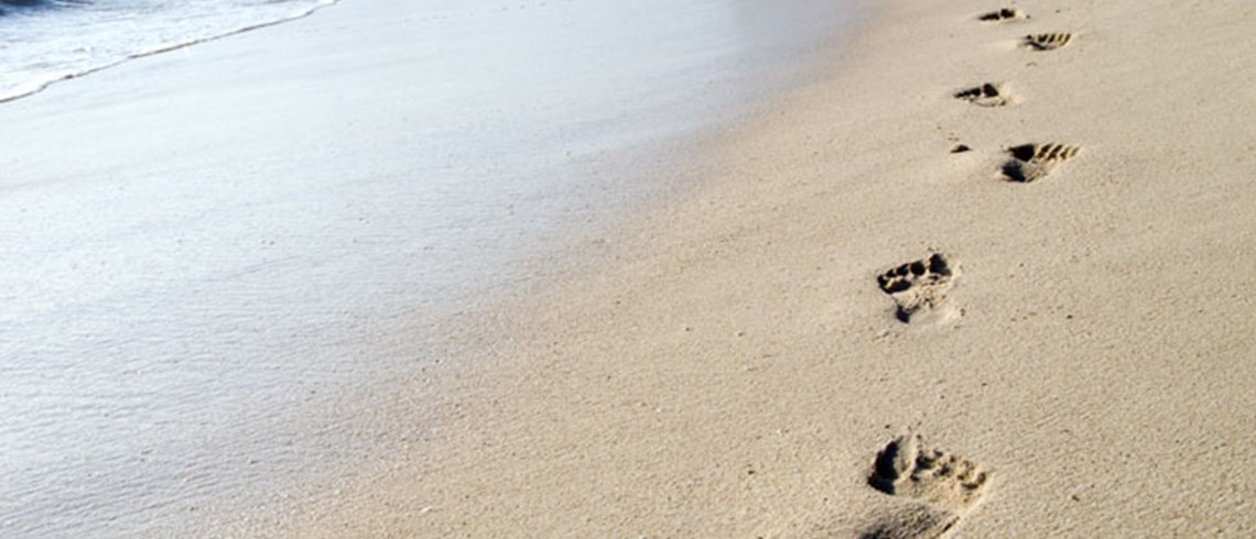 Menors migrants: factors a tenir en compte en la seva intervenció Menors migrants: factors a tenir en compte en la seva intervenció