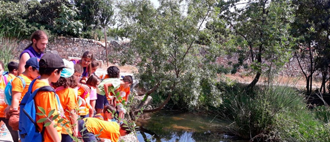 El ocio educativo: construcción de comunidades cohesionadas y ciudadanías activas